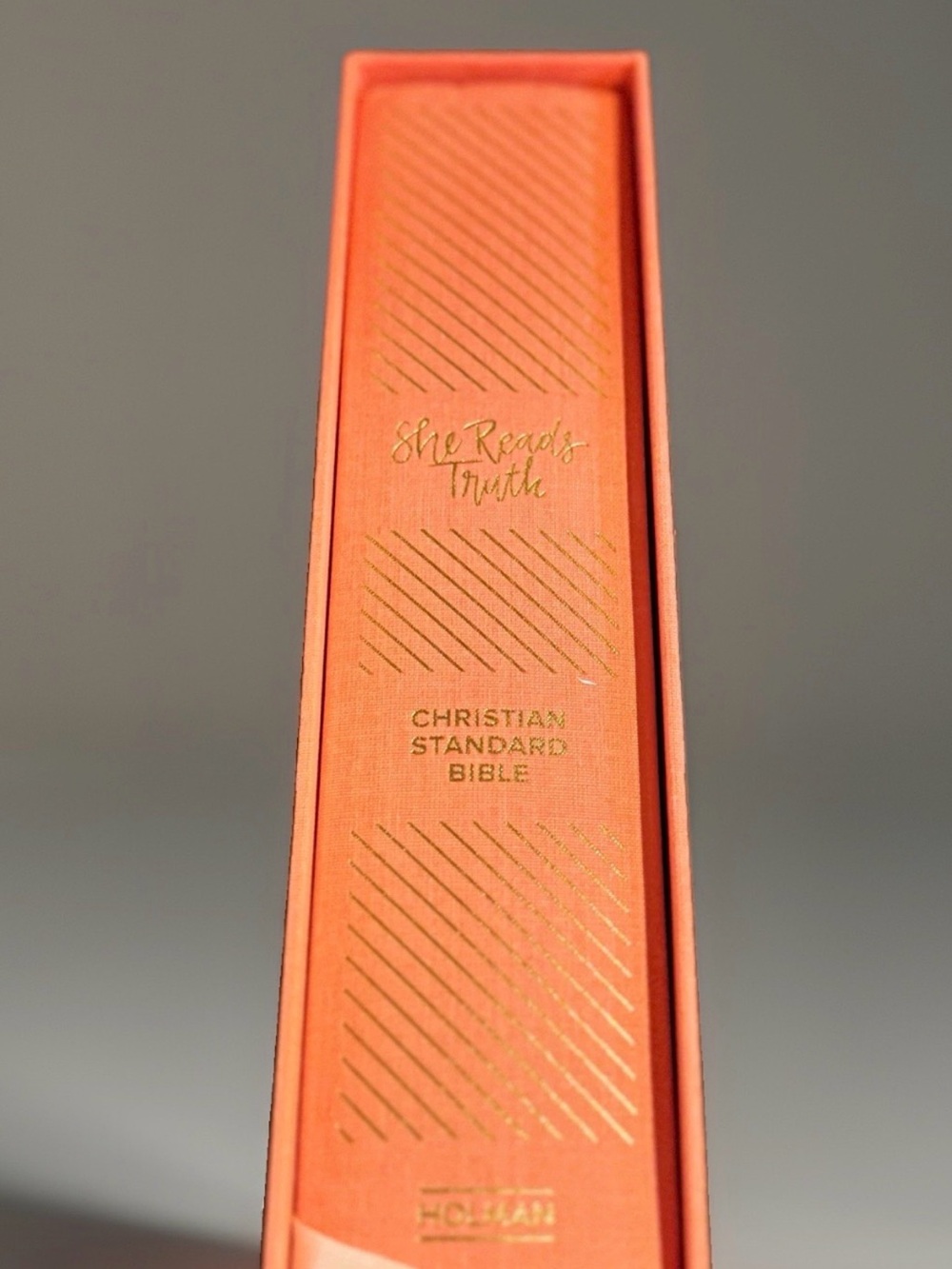 CSB She Reads Truth Bible (In Original Box) – Christian Standard Bible